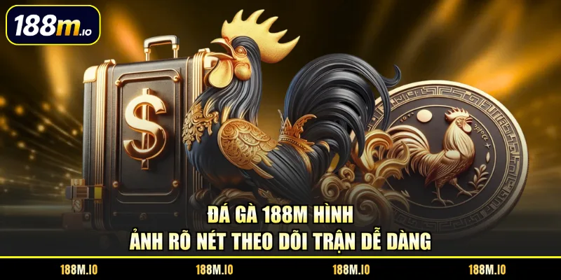Đá gà 188M hình ảnh rõ nét theo dõi trận dễ dàng